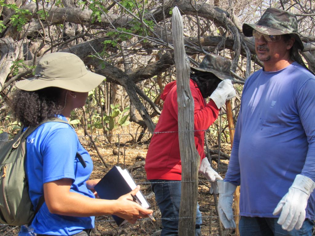 BlueSky Caatinga Inicia Plantio de 100 mil Árvores Nativas na Luta Pela Recuperação da Caatinga